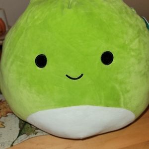 Squishmallow..12 in Arlo